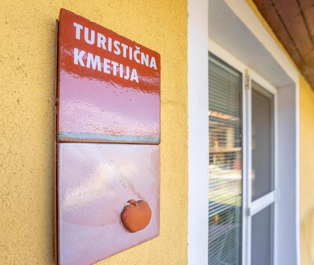 Fortun Estate - Apartmaji Ob Reki Kolpi Metlika Eksteriør bilde